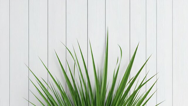 A serene and minimalist composition featuring vibrant green grass blades against a clean, white wooden plank wall. This tranquil scene provides ample copy space, making it an ideal background for titl