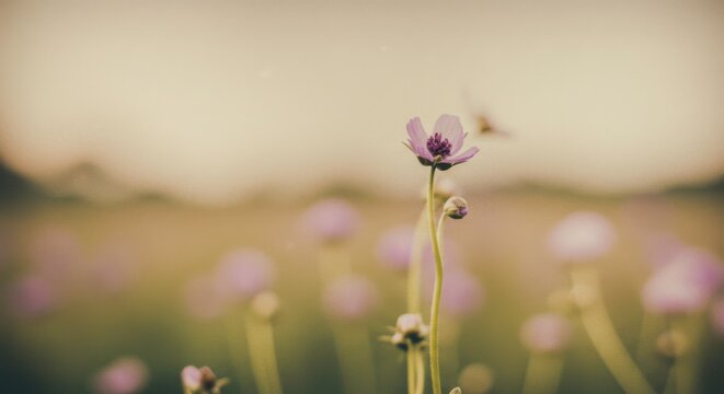 Delicate purple wildflower blossoms, creating a dreamlike and enchanting meadow landscape - Powered by Adobe