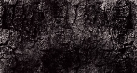 Naklejka premium Dark tree bark texture in high contrast. Rough cracked surface in monochrome tones with natural organic pattern. Rustic forest texture for background, poster, print or digital design