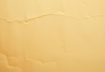 Close-up of aged, textured vellum sheet with subtle creases, aged, vintage