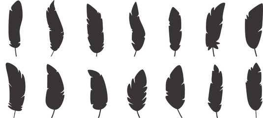 Set of black feather silhouettes featuring varied shapes and textures, ideal for nature illustrations, decorative artwork, designs, and creative branding elements. © Sk