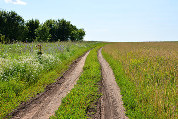 Obraz premium Country Road Winding Through Lush Green Fields up to the sky