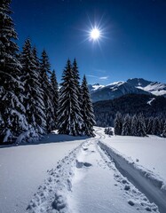 Fototapeta premium Snowy mountain path under bright moon with evergreen trees.