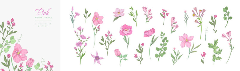 Floral set with colorful pink wild flowers and elegant branch. Botanical foliage for wedding invitation or wall art. Vector illustration