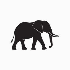 Fototapeta premium Elephant Black and White Silhouette
