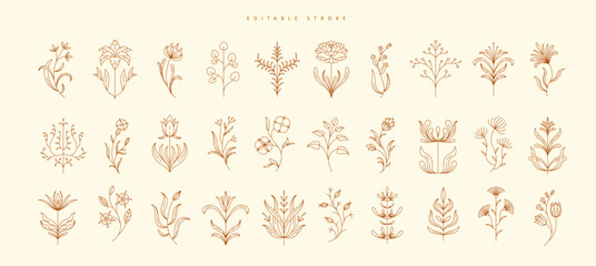 Set of boho simple geometric branch and flowers. Botanic design elements in wavy and vintage style. Leaves and branches print for logo, social media or packaging