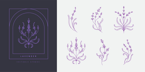 Set of simple geometric lavender branch and flowers. Botanic design elements in wavy and vintage style. Leaves and branches print for logo, social media or packaging