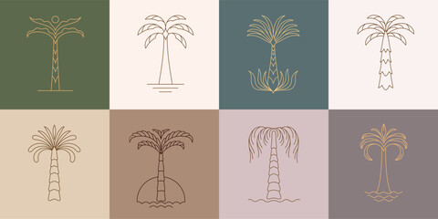 Set of simple geometric palm tree icon or logo designs. Summer tropical design elements and vacation emblems for resort, travel and beauty