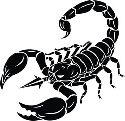 Scorpion vector art black and white illustration zodiac sign drawing eps silhouette