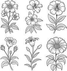 Hand-drawn Black and White Botanical Flowers Vector Set: Vintage Floral Line Art Collection for Coloring Books, Print Designs, Wedding Invitations, and Nature-Themed Graphics.