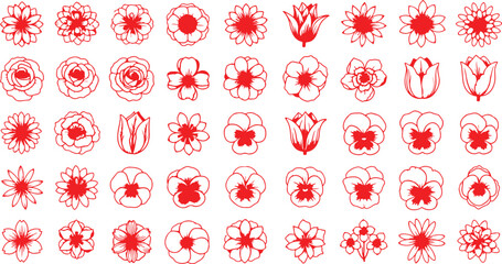 Vibrant floral collection with diverse color palette and classic typography elements