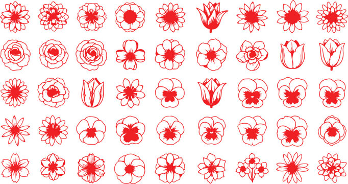 Vibrant floral collection with diverse color palette and classic typography elements