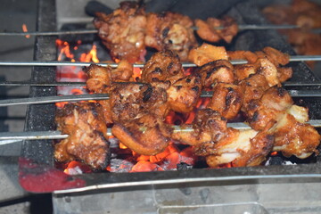 BBQ Delights: The image features the sizzling allure of grilled skewers with succulent meat, showcased over a bed of glowing embers.