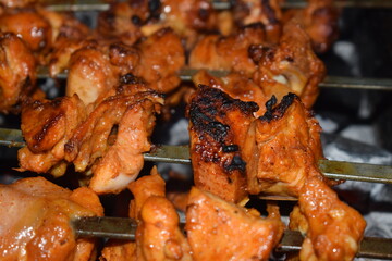 Flame-Kissed Delight: A close-up shot of grilled, succulent chicken skewers. The rich, golden-brown hue of the perfectly cooked poultry promises a delightful culinary experience.