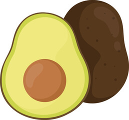 illustration avocado