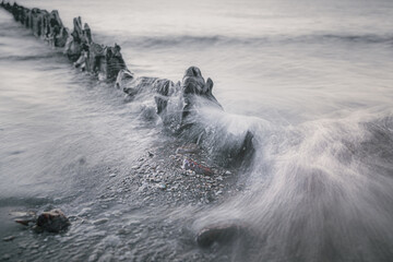Coastal Driftwood at Sunset, Dynamic Sea Motion