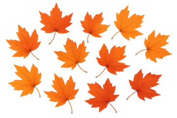 Autumn maple leaves falling, vibrant orange and red foliage, seasonal background element, transparent
