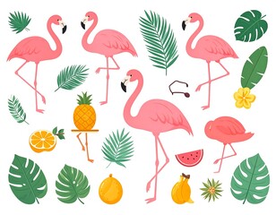 Pink flamingos and tropical fruits are illustrated with leaves.