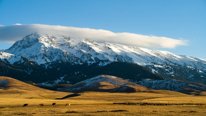 mountain peaks in the clouds. a beautiful mountain gorge. autumn in the mountains