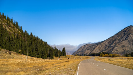 autumn in the mountains. a beautiful mountain gorge