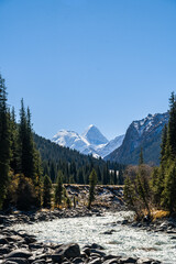 a river in a beautiful mountain gorge. autumn in the mountains.