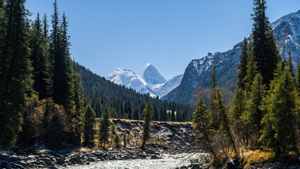 a river in a beautiful mountain gorge. autumn in the mountains.