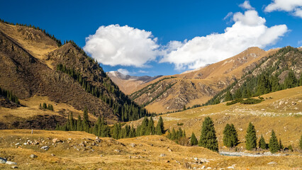 autumn in the mountains. a beautiful mountain gorge