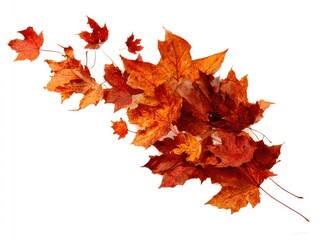 Vibrant cluster of autumn leaves in shades of red, orange, and brown against white