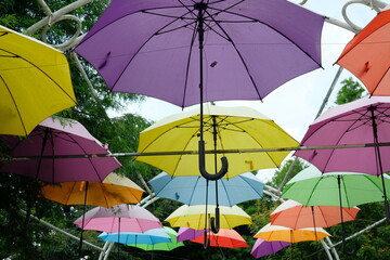 colorful umbrella in the rain