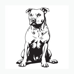 vector illustration of a pitbull dog
