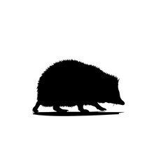 Silhouette of a hedgehog walking on a white background. © Maulana