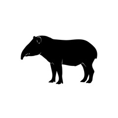 Silhouette of a tapir standing, showcasing its distinctive snout and body shape, isolated on white.