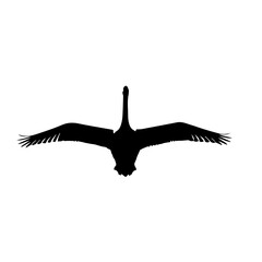 Black silhouette of a bird with outstretched wings in flight against a white background, viewed from below. © Maulana