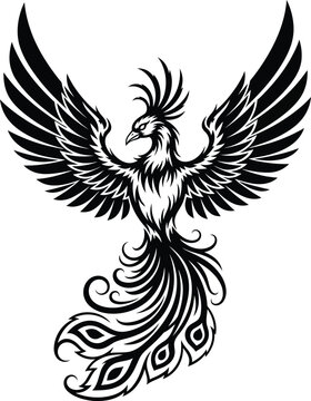 Phoenix bird vector illustration mythical creature firebird design art eps silhouette