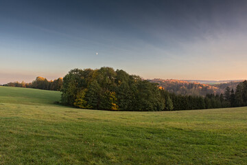 Scenic View with Moon over Forest