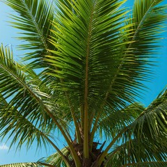 Lush green palm fronds sway gently against a bright blue sky, evoking a serene tropical paradise. A vibrant scene of nature's beauty ,nature ,flora ,growth