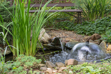 Tranquil garden pond with a small umbrella fountain and frog-shaped fountain surrounded by lush green plants, rocks and wooden bench in background.