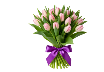 Bouquet of pink tulips tied with a purple ribbon isolated on transparent background