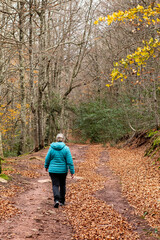 Fototapeta premium Colorful autumn walk through a tranquil forest path, where a person enjoys nature's beauty and the crunch of leaves underfoot on a peaceful afternoon