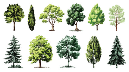 Fototapeta premium Diverse Tree Collection with Green Leaves - Nature's Beauty Captured in One Image