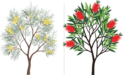 Flowering trees comparison, yellow cassia, red bottlebrush, tropical garden plants, vibrant blossoms, foliage contrast, nature diversity, landscape inspiration, exotic flora