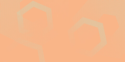 Gradient pink red patterned desktop wallpaper. Abstract vector illustration of modern lines background. Hexagon lines on yellow background. presentation design for corporate business and institution .