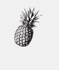 pineapple vector illustration