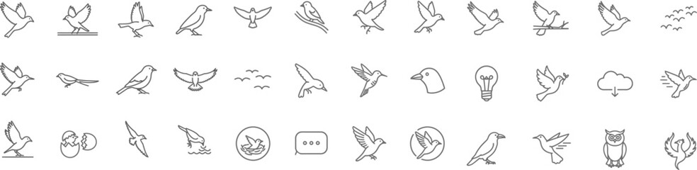 Naklejka premium Aves Vector: Wild Birds Line Icons Collection