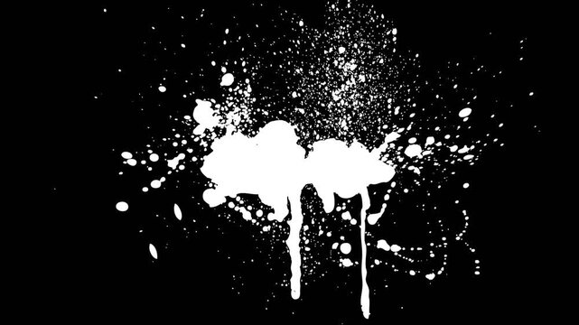vector illustration of paint splat effect collection on alpha background
