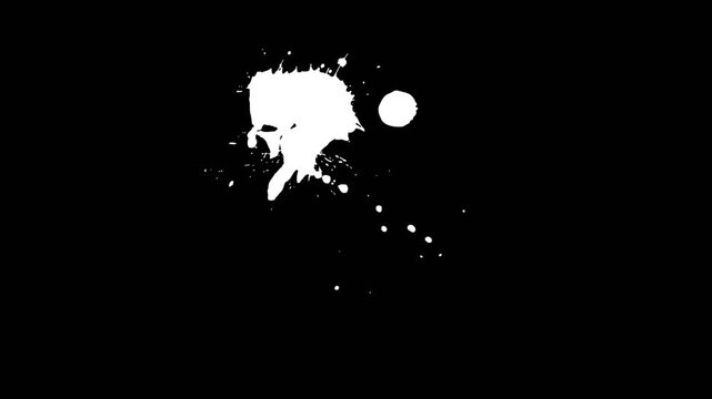 vector illustration of paint splat effect collection on alpha background