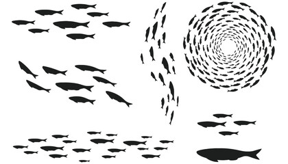Fish school vector illustration marine life sea animal group
