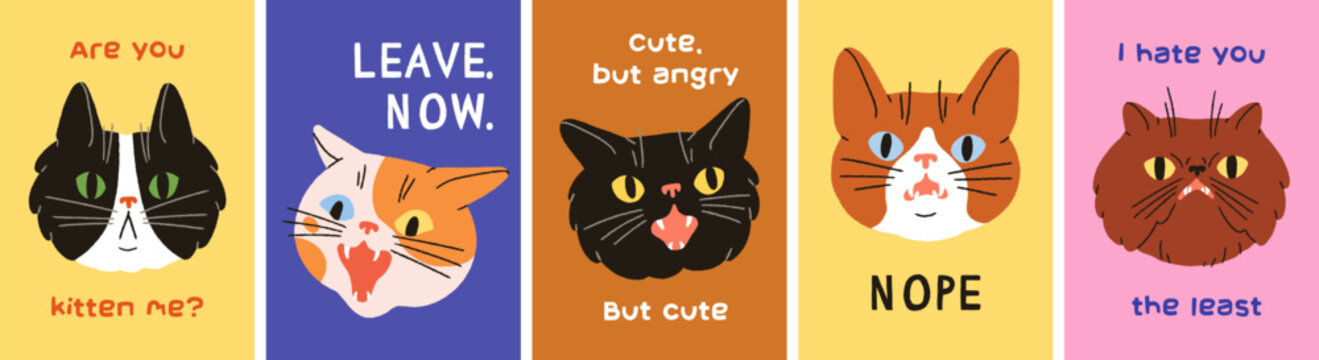 Funny comic cats, cards set with humor phrases. Cute kitty heads with angry, shocked, mem emotions, expressions, poster designs with feline animal faces and typography. Flat vector illustrations.