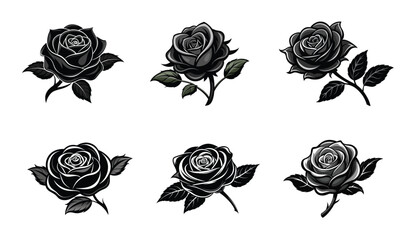 Collection of Six Stylized Black and White Roses Isolated on White Background