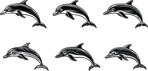 Collection of Engraved Style Dolphin Illustrations in Black and White Outline